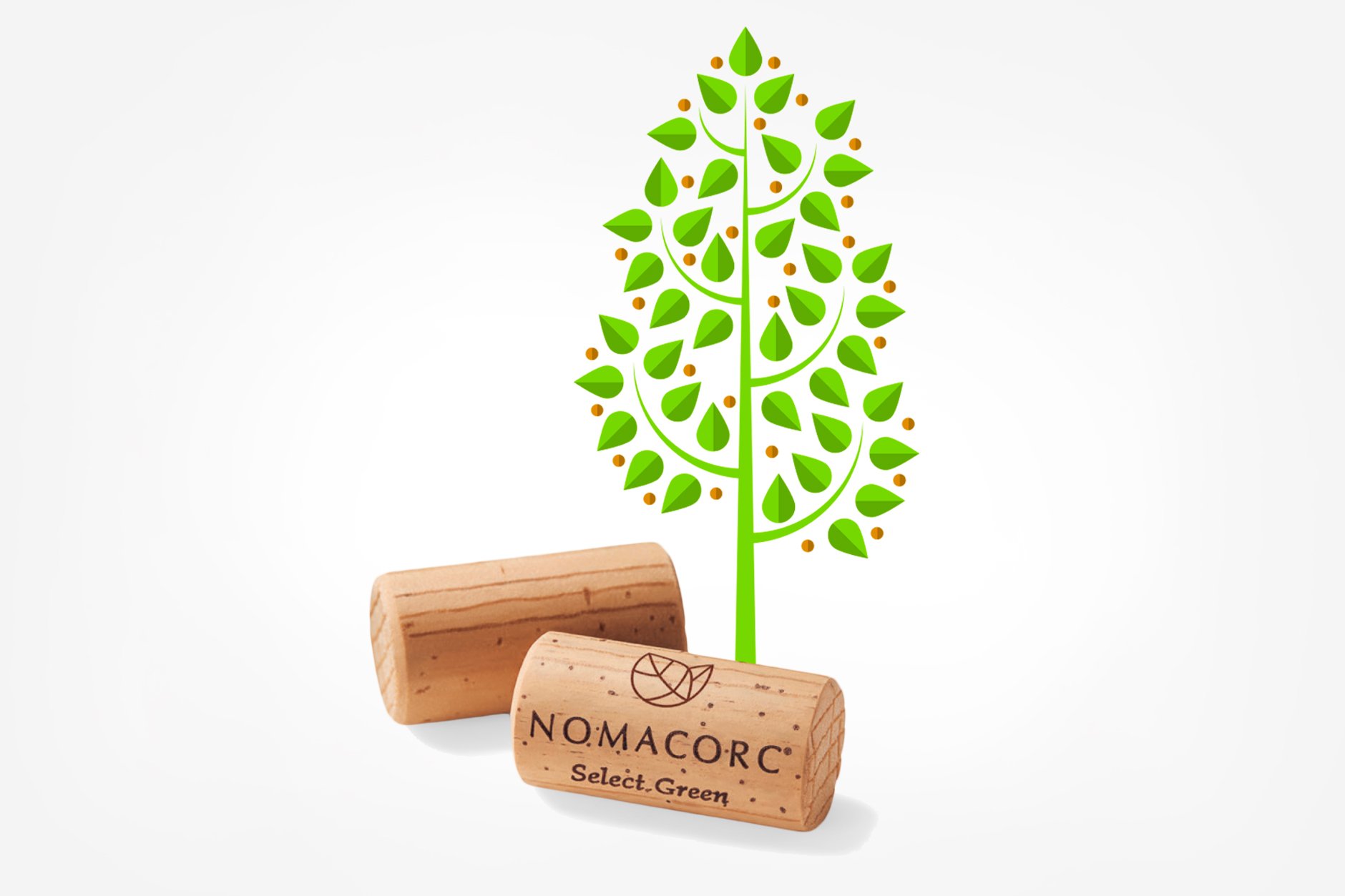 A cap for the environment, more quality for you A cap for the environment, more quality for you